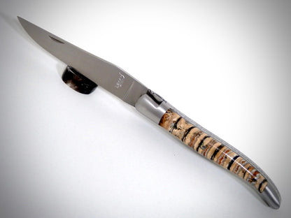 Laguiole Molaire de Mammouth ciselé par David DAUVILLAIRE